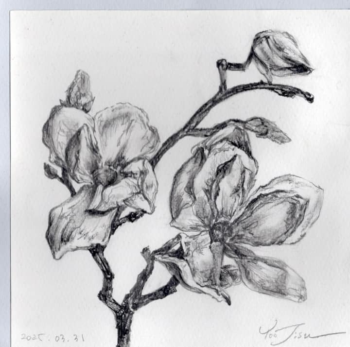 Polaroid of a flower drawing