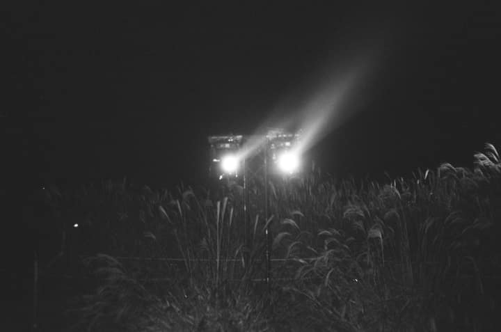 Black-and-white night photograph of distant headlights in grass
